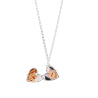 PreOrder LOCKy Charm Plata