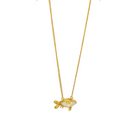 Cadena Spacefish