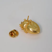 Pin Ropa Anatomik