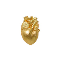 Pin Ropa Anatomik