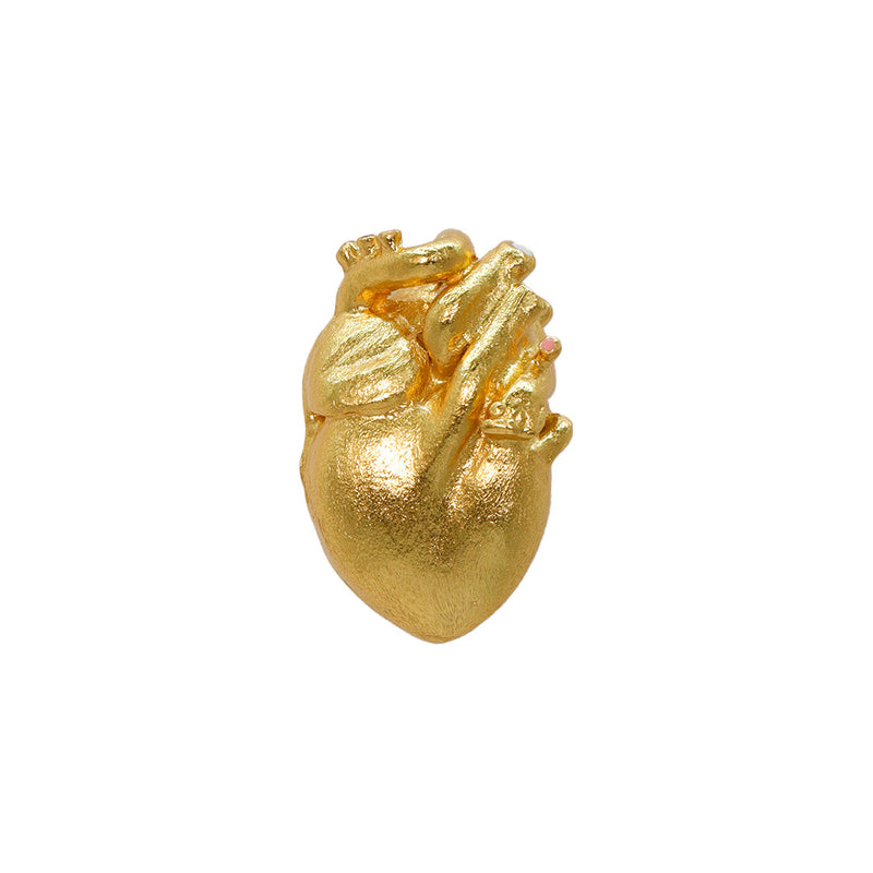 Pin Ropa Anatomik