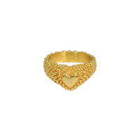 Anillo Atom